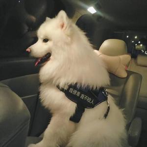 蓝轩宇弄得满床都是牛奶小说
